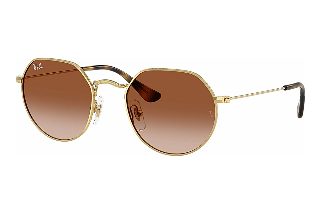 Ray-Ban Junior   RJ9565S 223/13 Gradient BrownArista Gold