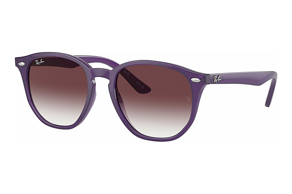 Ray-Ban Junior   RJ9070S 713136 Grey/VioletOpal Violet