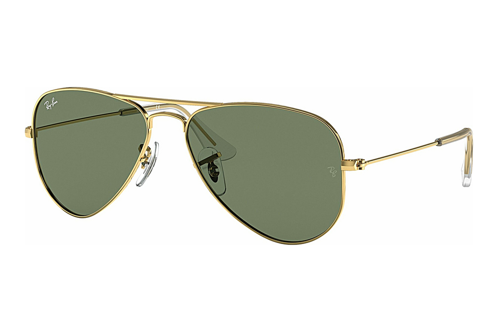 Ray-Ban Junior   RJ9506S 223/71 Dark GreenArista Gold