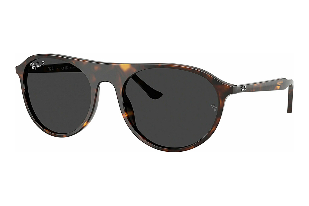 Ray-Ban   RB2215 902/48 Polar BlackHavana