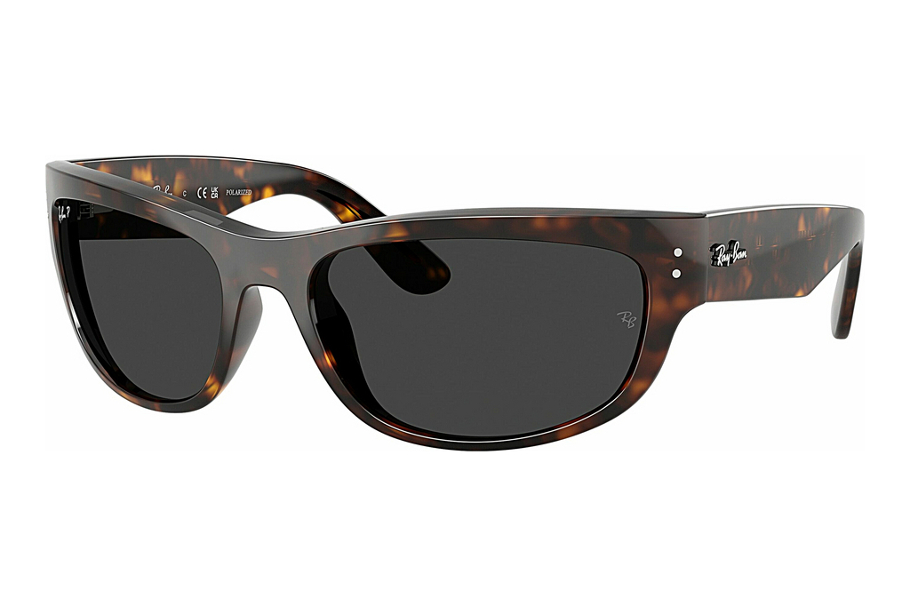 Ray-Ban   RB2289 902/48 Polar BlackHavana