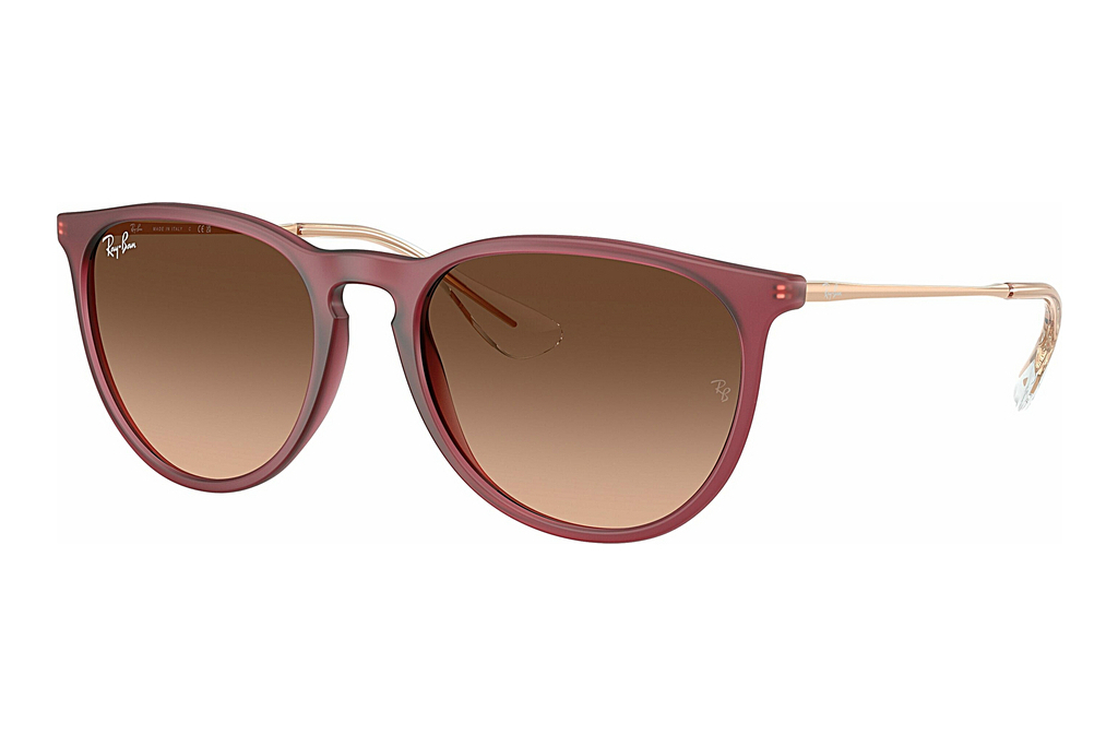 Ray-Ban   RB4171 6815A5 Pink Gradient BrownRubber Violet