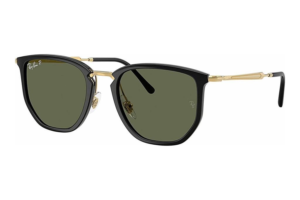 Ray-Ban   RB4451 630658 Polar GreenBlack