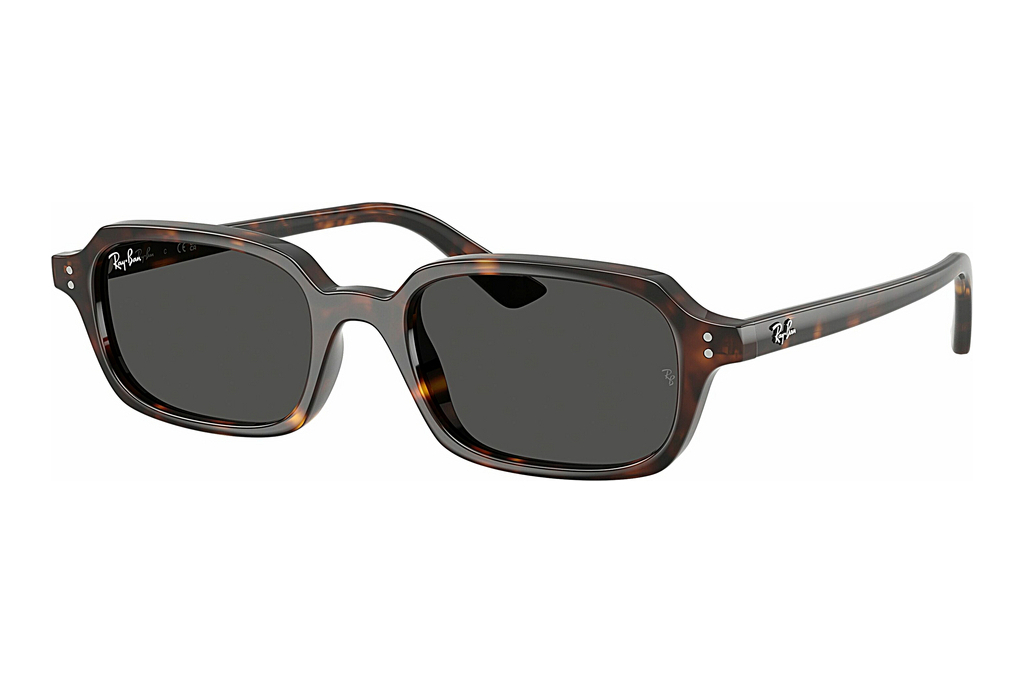 Ray-Ban   RB4455 135987 Dark GreyHavana