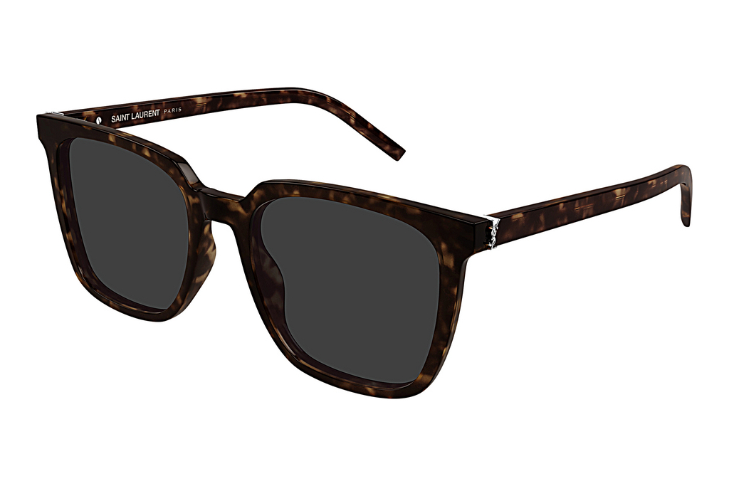 Saint Laurent   SL M146 002 HAVANA