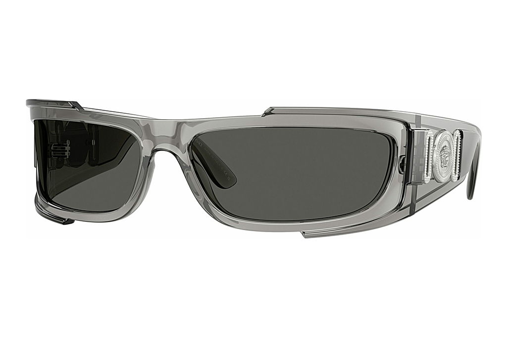 Versace   VE4446 593/87 Dark GreyGrey Transparent