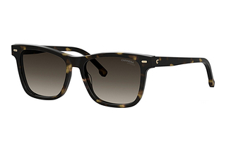 Carrera CARRERA 3001/S 086/HA BROWN SHADEDHAVANNA