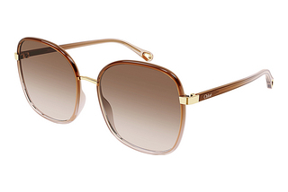 Chloé CH0031S 007 BROWN