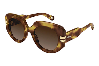 Chloé CH0257S 002 HAVANA