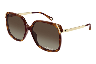 Chloé CH0286S 002 HAVANA