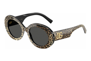 Dolce & Gabbana DG4448 316387 Dark GreyTop Leo On Black