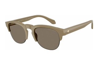 Giorgio Armani AR8238 622273 BrownBeige