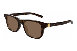 Gucci GG1671S 006 HAVANA