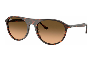 Ray-Ban RB2215 14293B