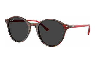 Ray-Ban RB2230 141948 Polar BlackTransparent Shade Fantasy Red