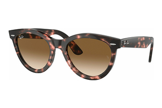 Ray-Ban RB2241 133451 Clear & BrownPink Havana