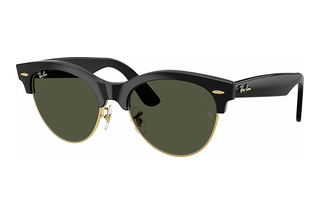 Ray-Ban RB2341 901/31 GreenBlack On Gold