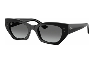 Ray-Ban RB4430 667711