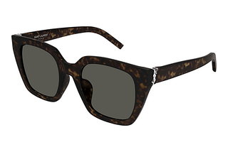 Saint Laurent SL M143/F 002 HAVANA