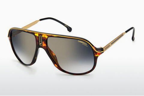 Γυαλιά ηλίου Carrera SAFARI65/N 086/1V