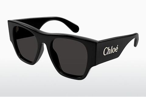 Γυαλιά ηλίου Chloé CH0233S 001