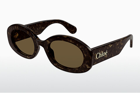 Γυαλιά ηλίου Chloé CH0258S 002