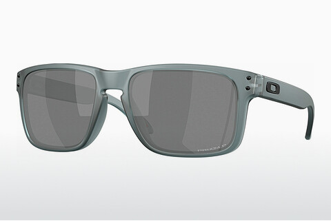 Γυαλιά ηλίου Oakley HOLBROOK (OO9102 9102Z4)