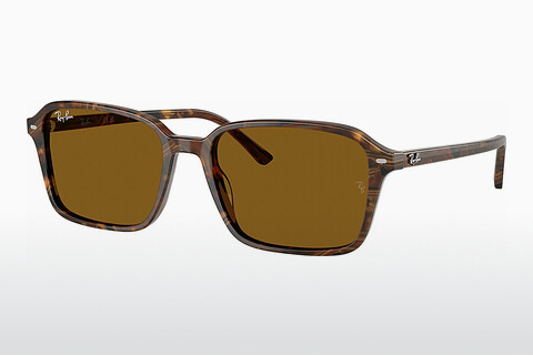 Γυαλιά ηλίου Ray-Ban RAIMOND (RB2231 141833)