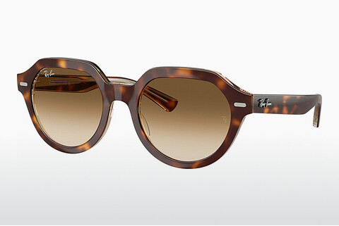 Γυαλιά ηλίου Ray-Ban GINA (RB4399 141451)