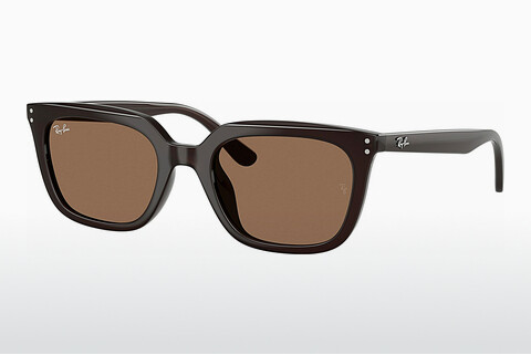 Γυαλιά ηλίου Ray-Ban RB4439D 623173