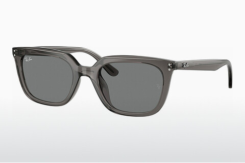 Γυαλιά ηλίου Ray-Ban RB4439D 667587