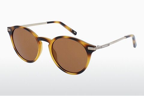 Γυαλιά ηλίου Ted Baker 1632 100