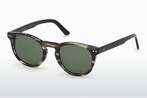 Γυαλιά ηλίου Web Eyewear WE0251 20N