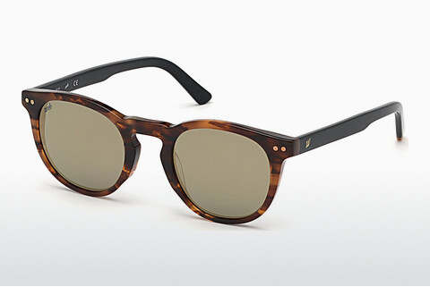 Γυαλιά ηλίου Web Eyewear WE0251 56C
