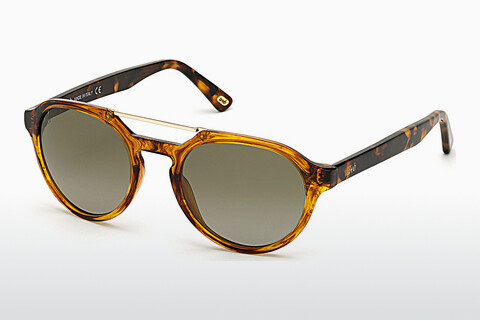 Γυαλιά ηλίου Web Eyewear WE0278 56R