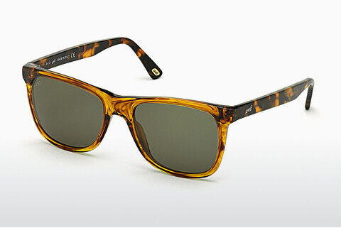 Γυαλιά ηλίου Web Eyewear WE0279 56N