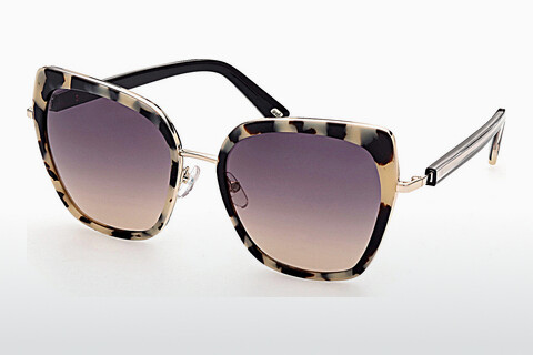 Γυαλιά ηλίου Web Eyewear WE0304 55Z