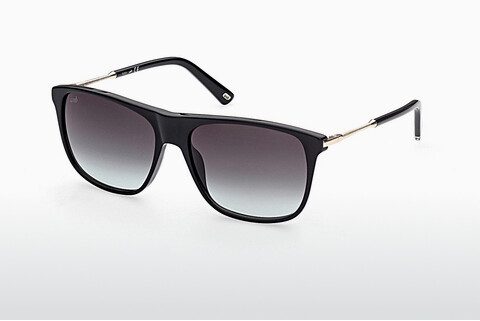 Γυαλιά ηλίου Web Eyewear WE0310 01P