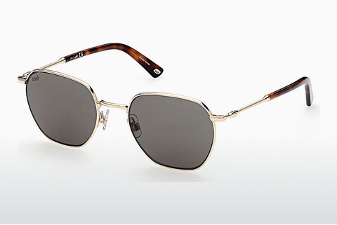 Γυαλιά ηλίου Web Eyewear WE0312 32W