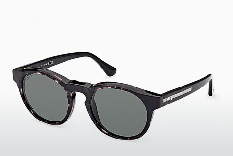 Γυαλιά ηλίου Web Eyewear WE0324 05D