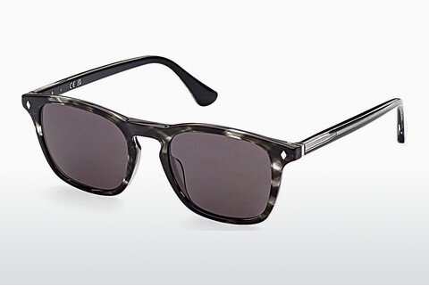 Γυαλιά ηλίου Web Eyewear WE0327 05A