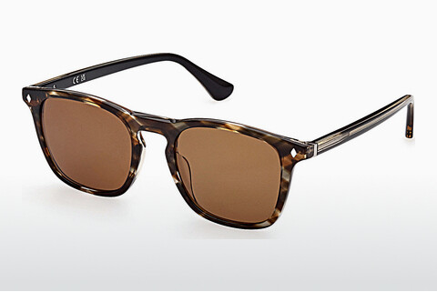 Γυαλιά ηλίου Web Eyewear WE0327 50E