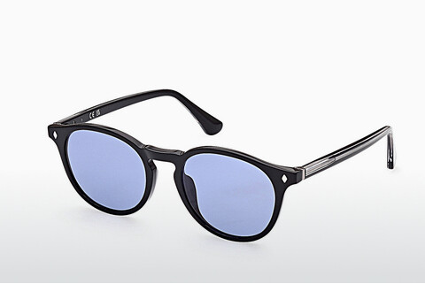 Γυαλιά ηλίου Web Eyewear WE0328 05A