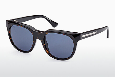 Γυαλιά ηλίου Web Eyewear WE0335 56V
