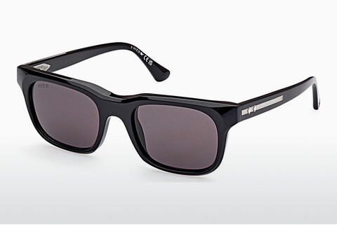 Γυαλιά ηλίου Web Eyewear WE0336 05A
