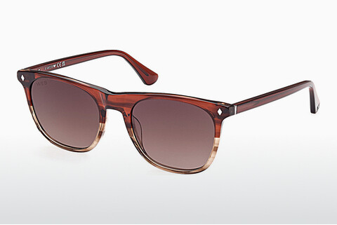 Γυαλιά ηλίου Web Eyewear WE0339 71F