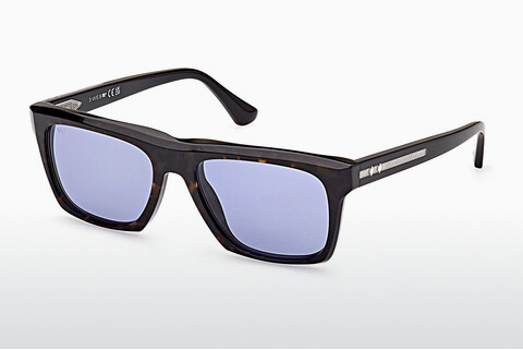 Γυαλιά ηλίου Web Eyewear WE0350 56V