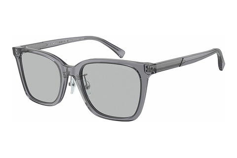 Γυαλιά ηλίου Emporio Armani EA4226D 502987