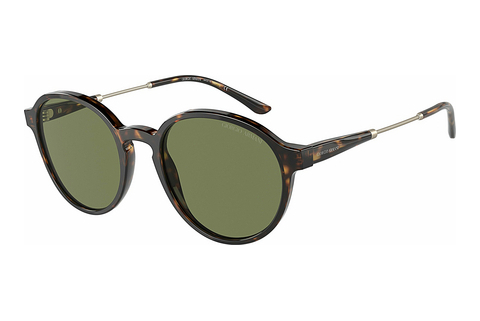 Γυαλιά ηλίου Giorgio Armani AR8160 50262A