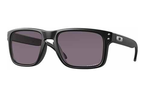 Γυαλιά ηλίου Oakley HOLBROOK (OO9102 9102E8)